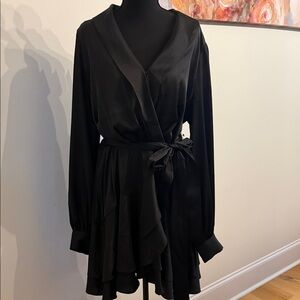 Express Black Long Sleeve Dress
